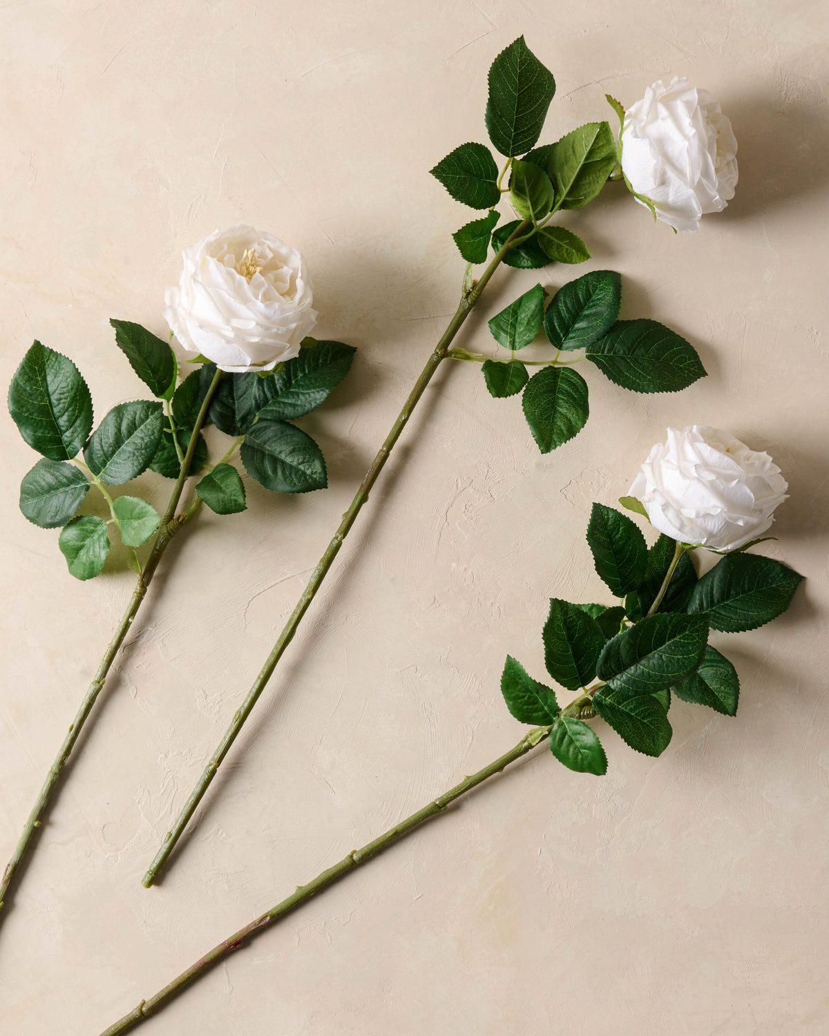 Mavelle Austin Rose Stem faux floral stem - Alternate View