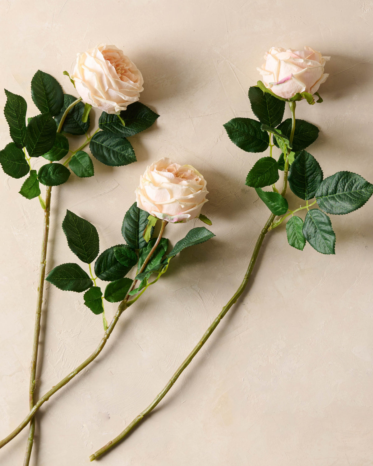 Mavelle Austin Rose Stem faux floral stem - View 7