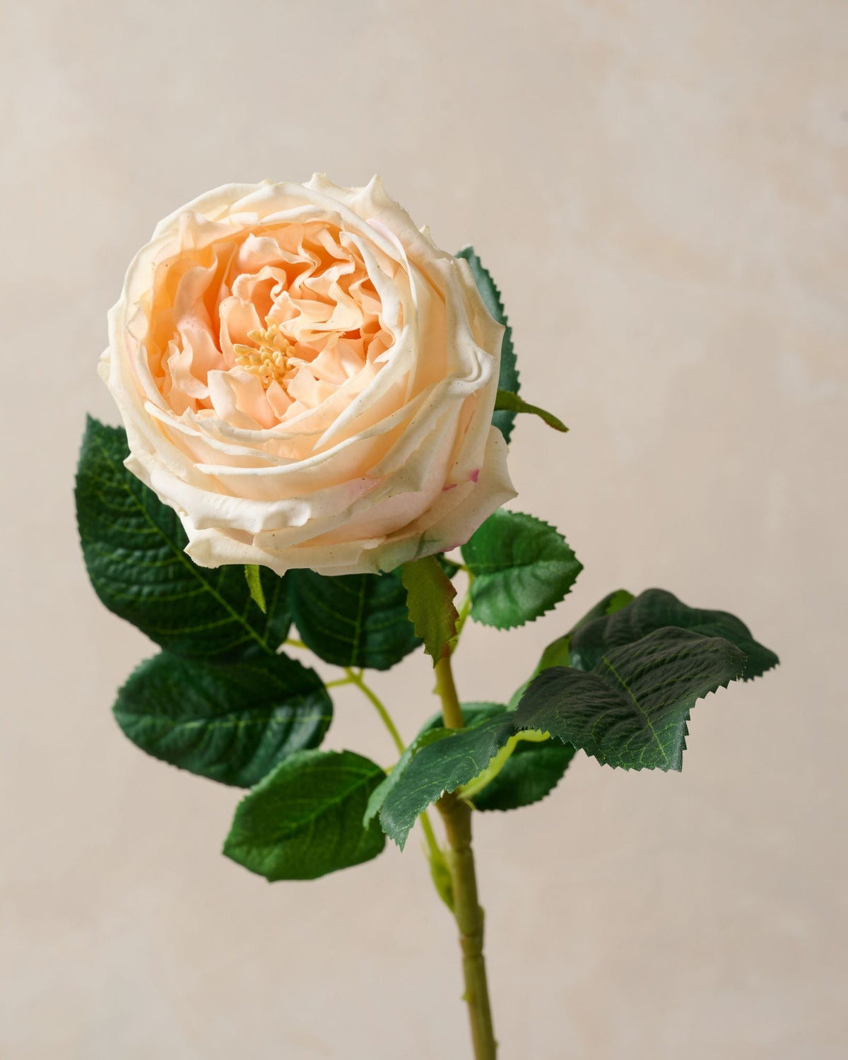 Mavelle Austin Rose Stem faux floral stem - Side View