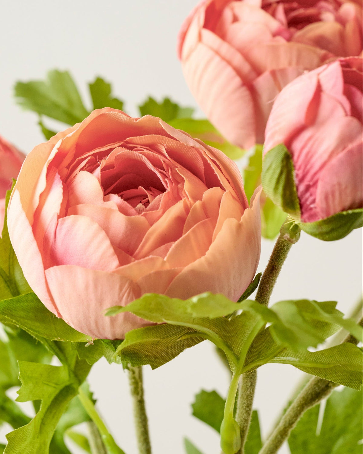 Mavelle Real Touch Ranunculus Stem faux floral stem - Side View