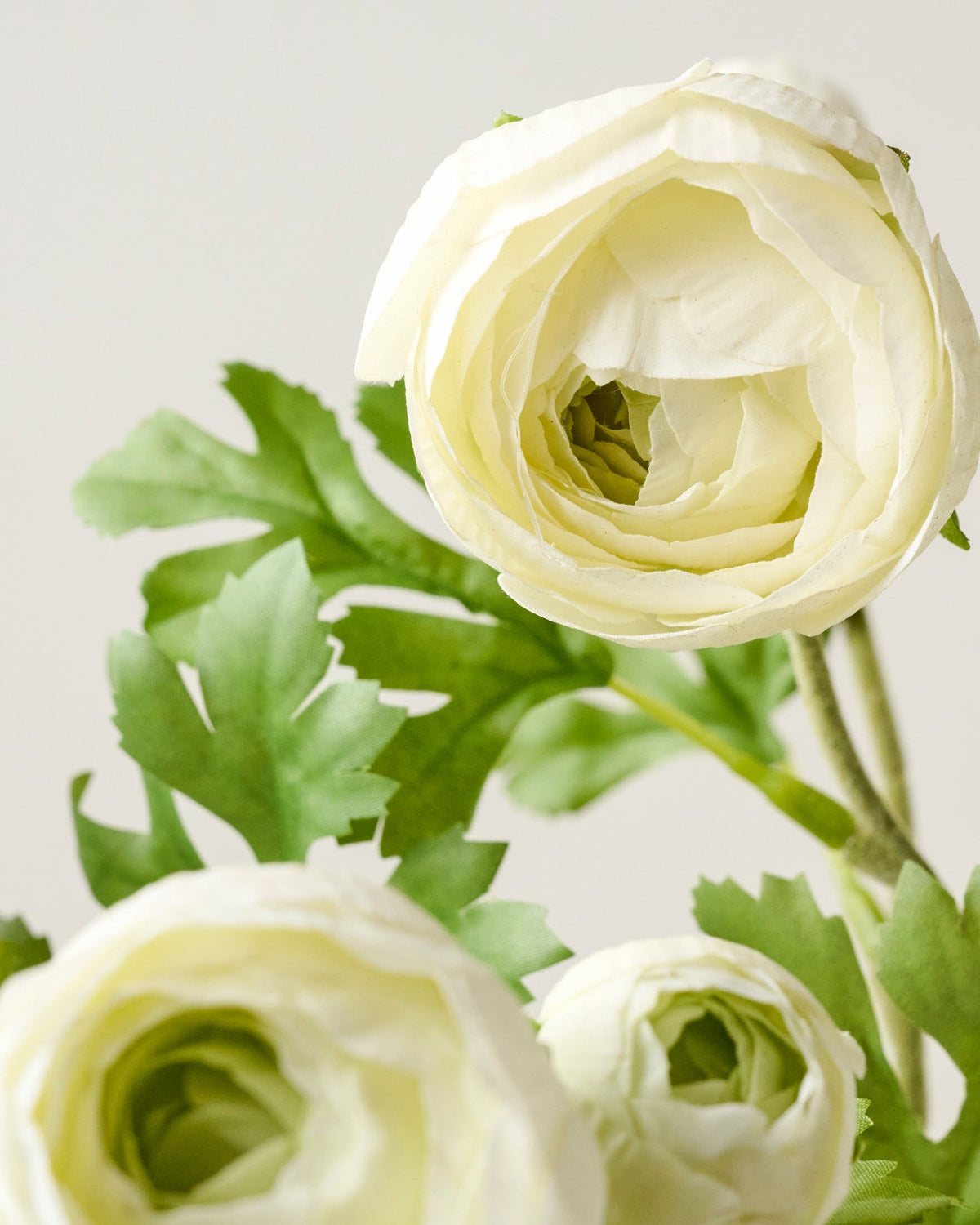 Mavelle Real Touch Ranunculus Stem faux floral stem - Detail View