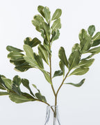 Mavelle Pittosporum Leaf Stem faux floral stem - Detail View