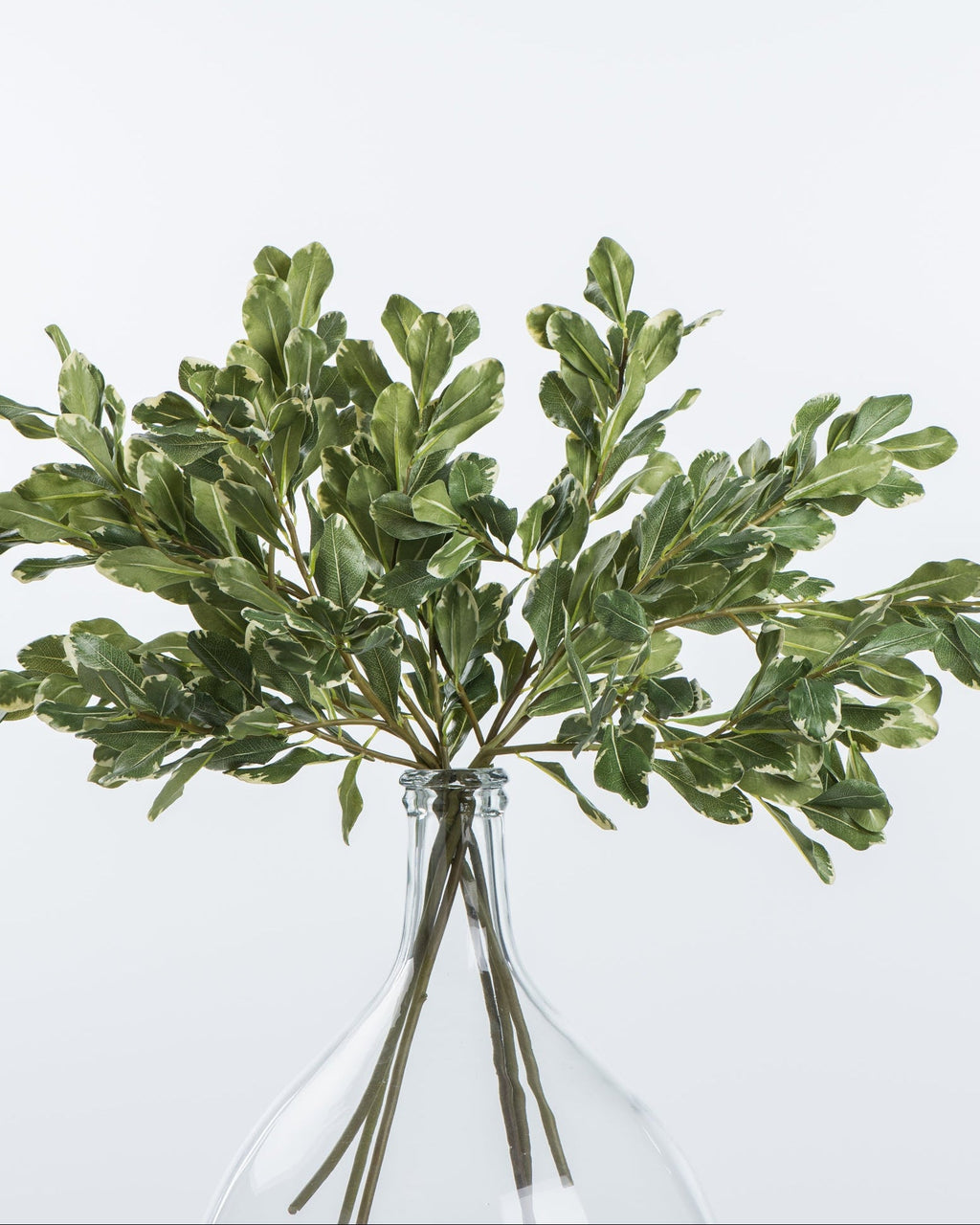 Mavelle Pittosporum Leaf Stem faux floral stem
