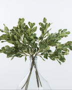 Mavelle Pittosporum Leaf Stem faux floral stem
