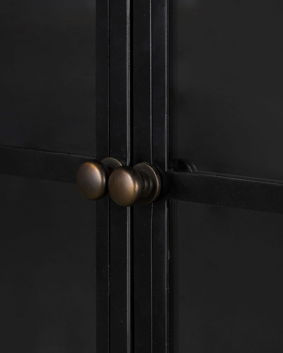 Mavelle Brady Wide Metal Cabinet storage cabinet - Close-Up