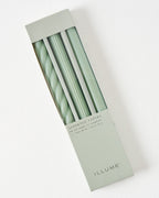 Mavelle Assorted Sage Green Taper Candle Set candle