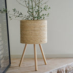 Mavelle Bleached Woven Plant Stands plant stand - Alternate View