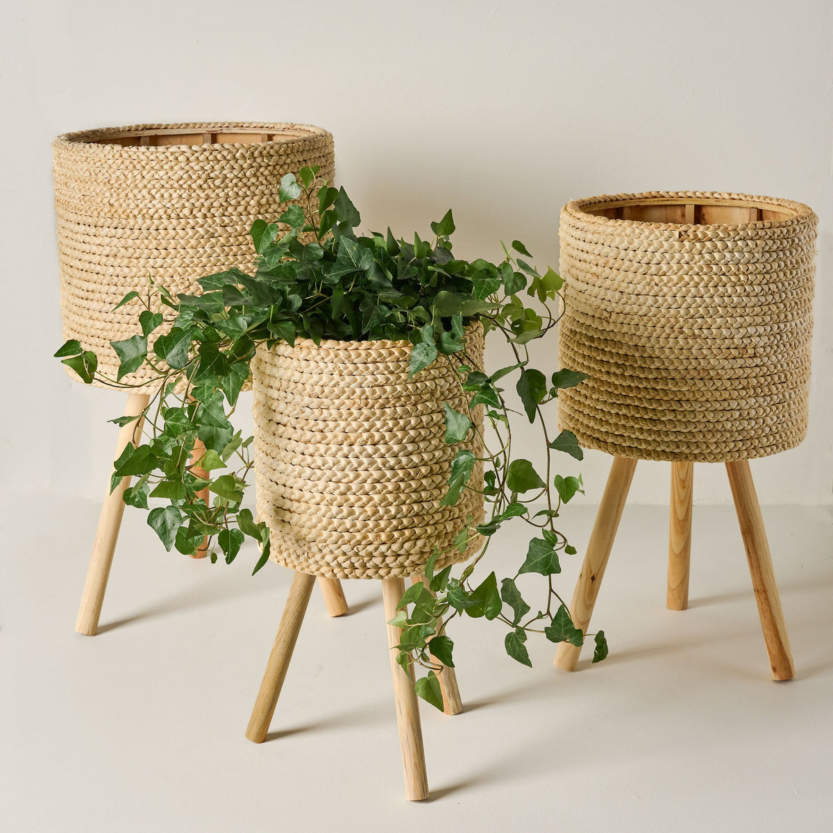 Mavelle Bleached Woven Plant Stands plant stand - Detail View