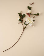 Mavelle Magnolia Spray faux floral stem - Styled in Room