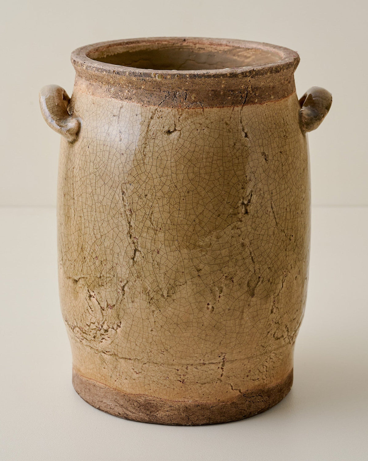 Mavelle Hanson Crackle Handled Vase vase - Styled in Room
