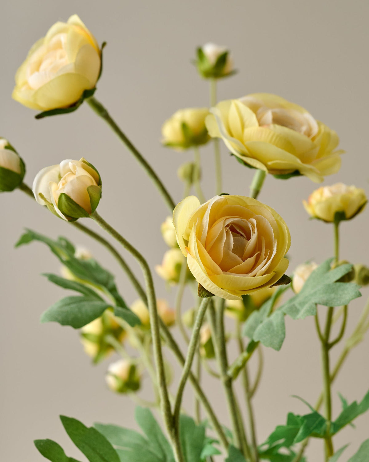 Mavelle Ranunculus Bloom Bundle faux floral stem - Styled in Room