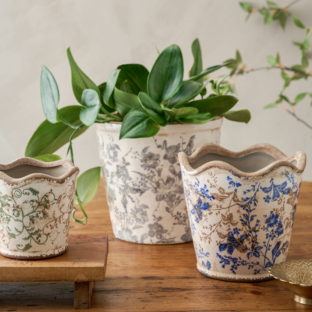 Mavelle Green Scalloped Distressed Planter planter - Alternate View