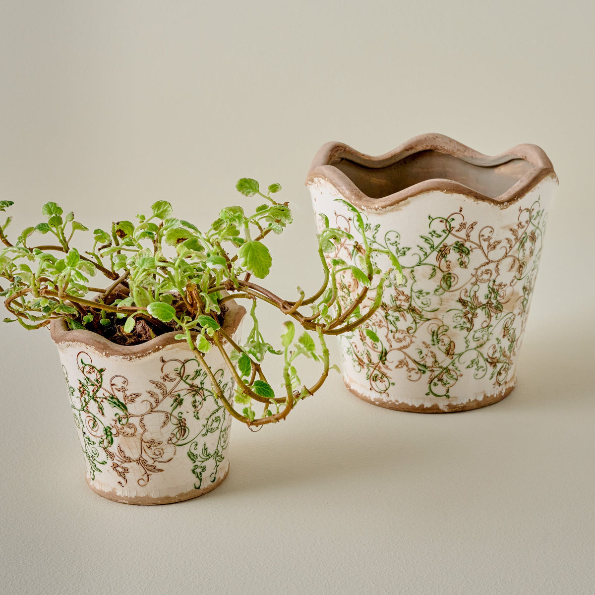 Mavelle Green Scalloped Distressed Planter planter - Detail View
