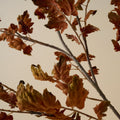 Mavelle Oversized Oak Leaf Branch faux floral stem