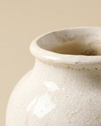 Mavelle Marie Distressed Crackle Vase vase - Alternate View