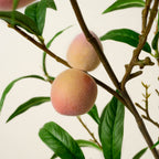 Mavelle Oversized Peach Stem faux floral stem - Styled in Room