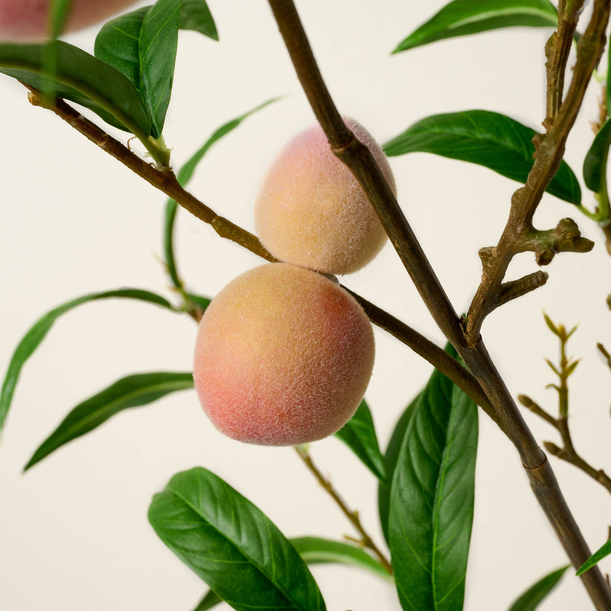Mavelle Oversized Peach Stem faux floral stem - Styled in Room