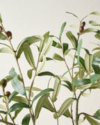 Mavelle Olive Leaf Stem faux floral stem - Alternate View