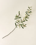 Mavelle Olive Leaf Stem faux floral stem