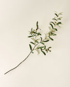 Mavelle Olive Leaf Stem faux floral stem