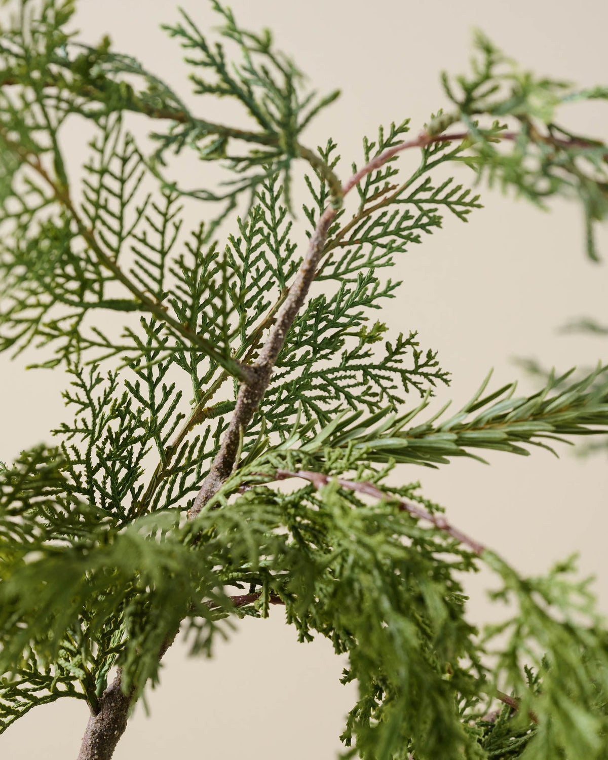 Mavelle Real Touch Cedar Mix Stem faux floral stem - Close-Up