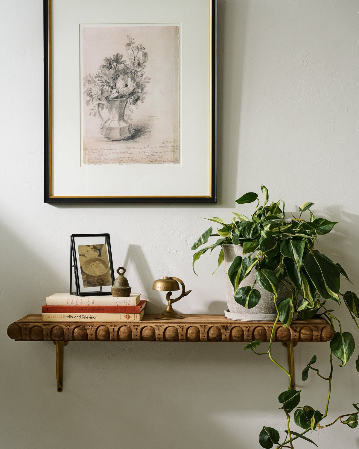 Mavelle Griffin Hand Carved Wood Shelf wall shelf - Detail View