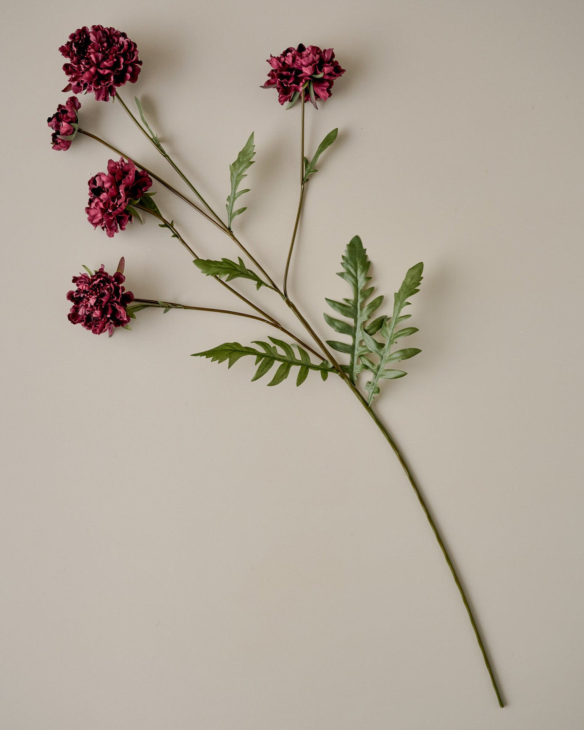 Mavelle Real Touch Red Velvet Scabiosa Stem faux floral stem - Detail View