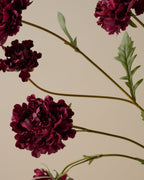 Mavelle Real Touch Red Velvet Scabiosa Stem faux floral stem - Styled in Room