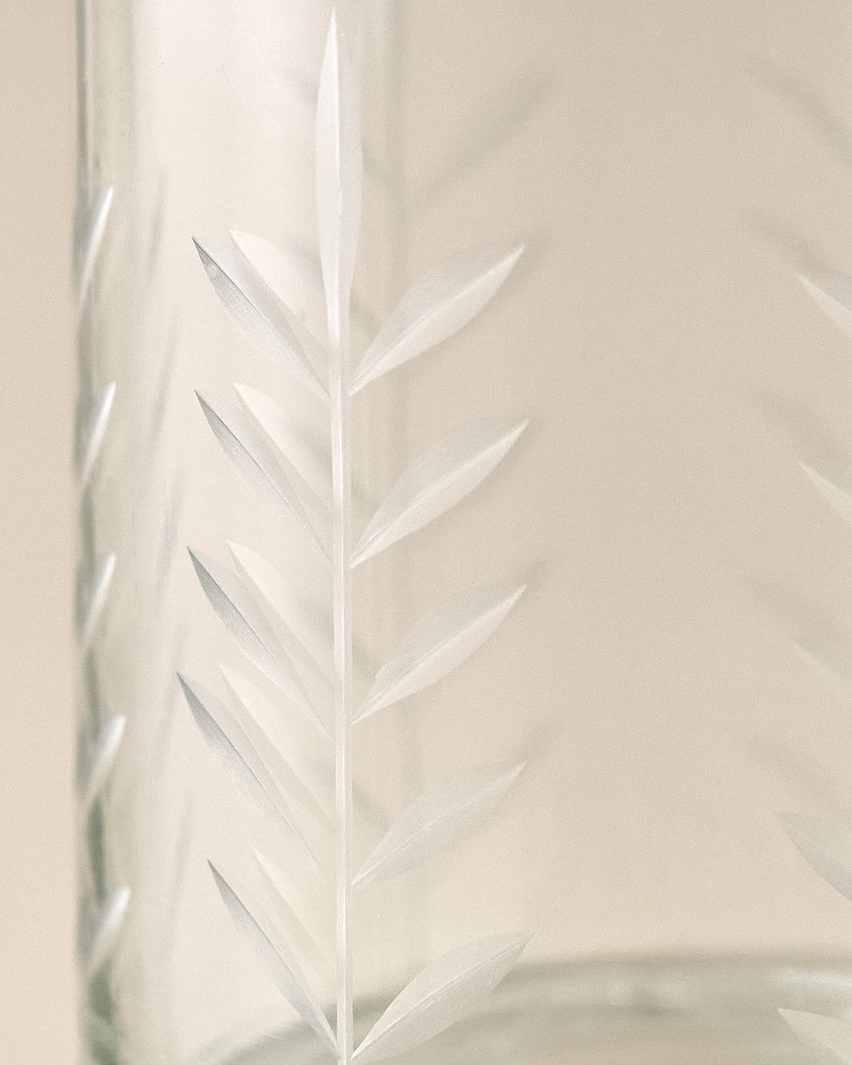 Mavelle Marlowe Etched Glass Tumbler drinking glass - Close-Up