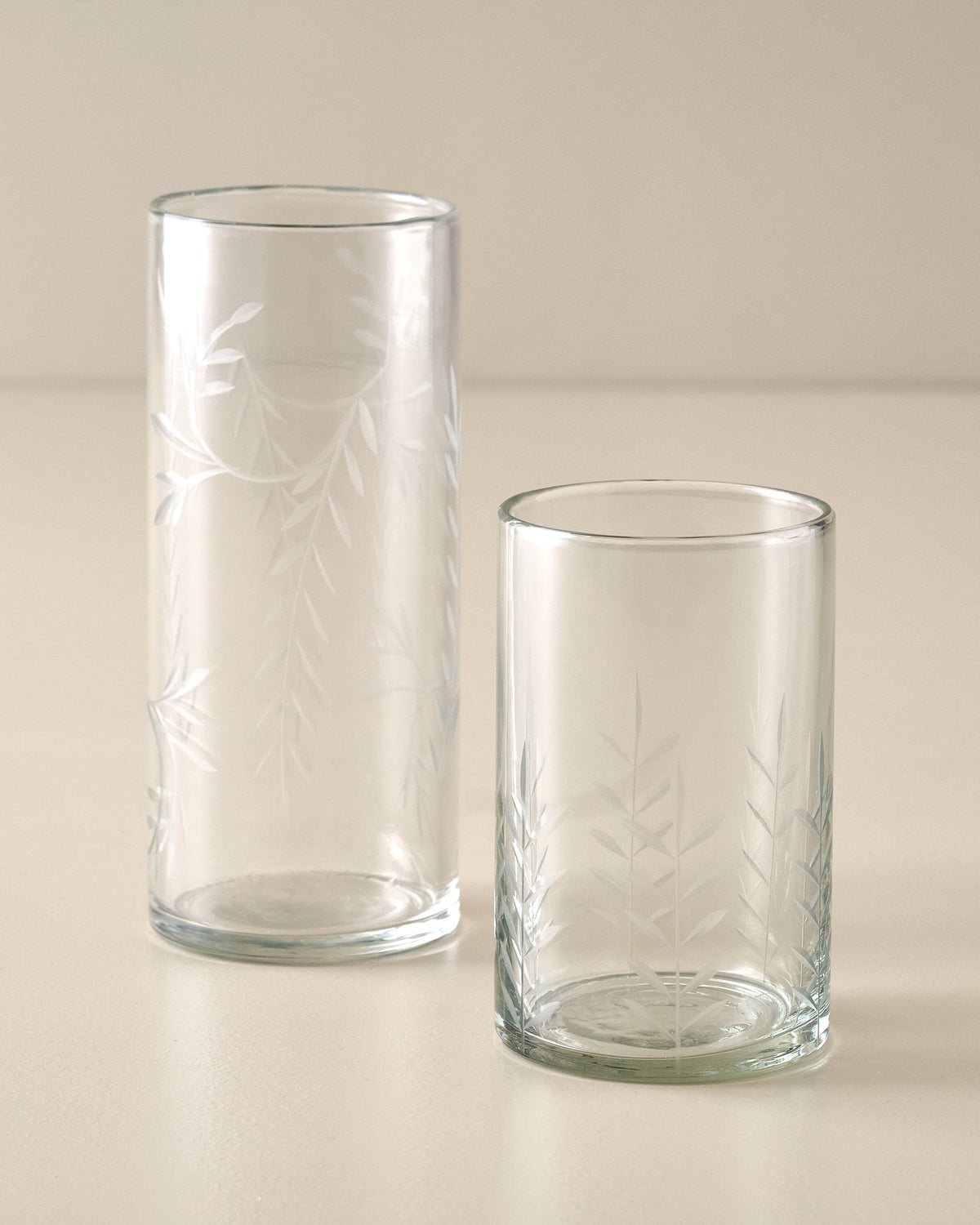 Mavelle Marlowe Etched Glass Tumbler drinking glass