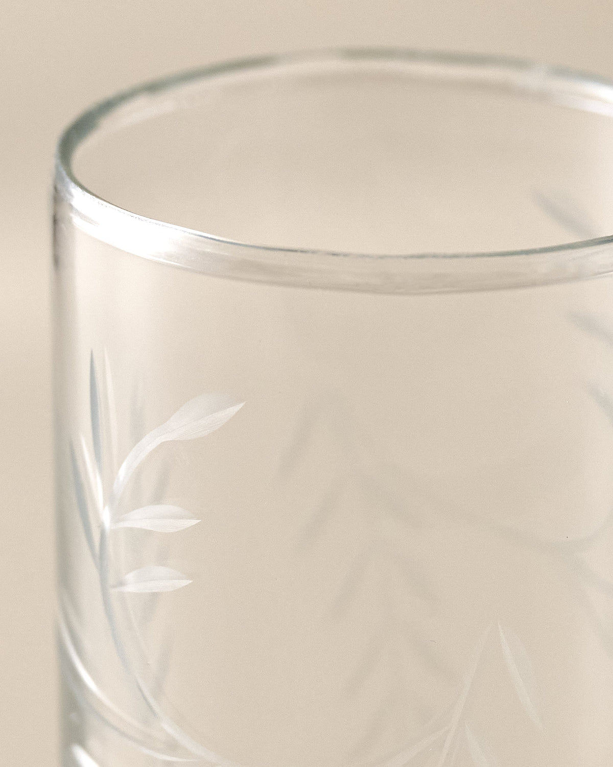 Mavelle Marlowe Etched Glass Tumbler drinking glass - Alternate View