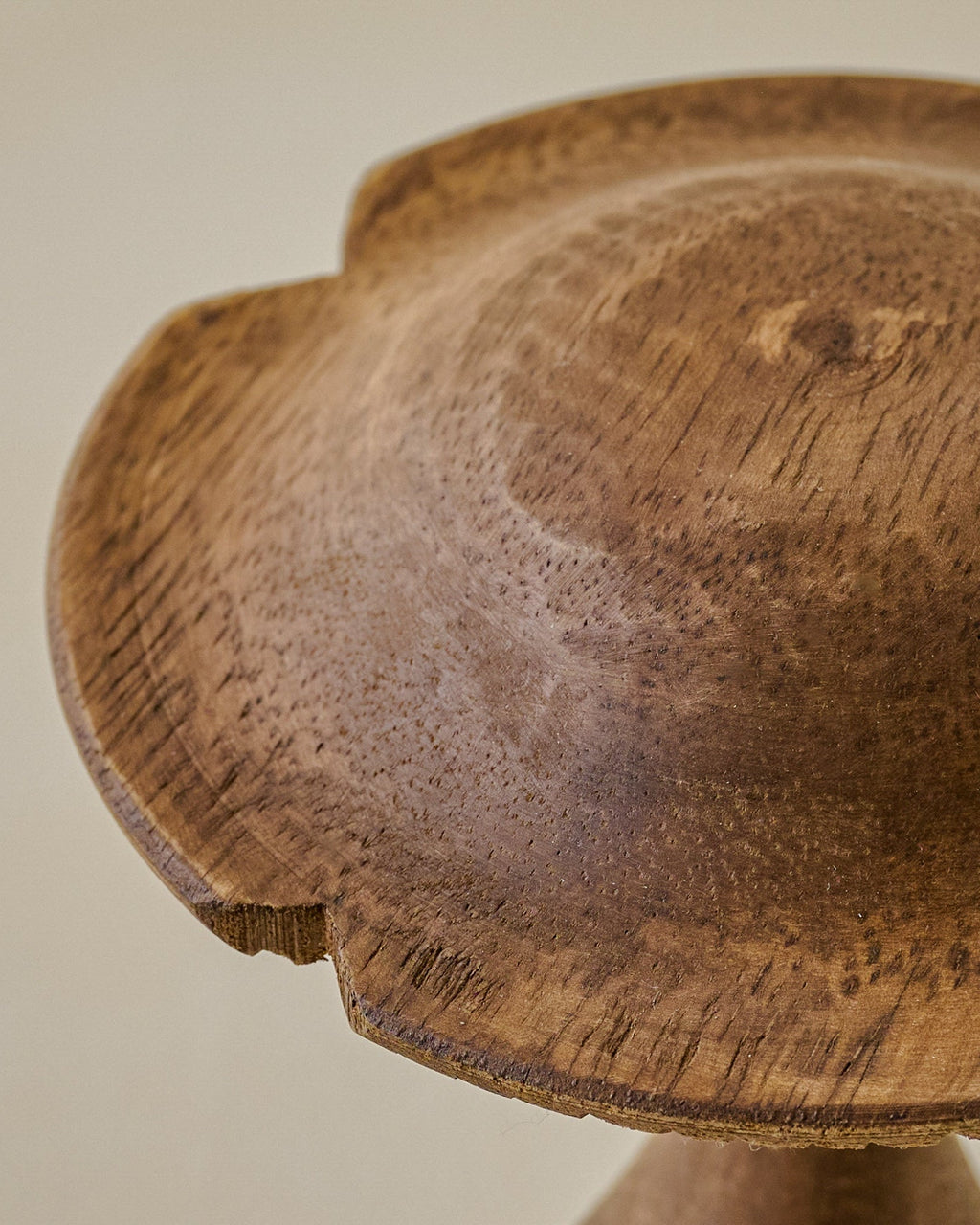 Mavelle Hand-Carved Decorative Wooden Mushroom, Set of 3 decorative accent - Close-Up