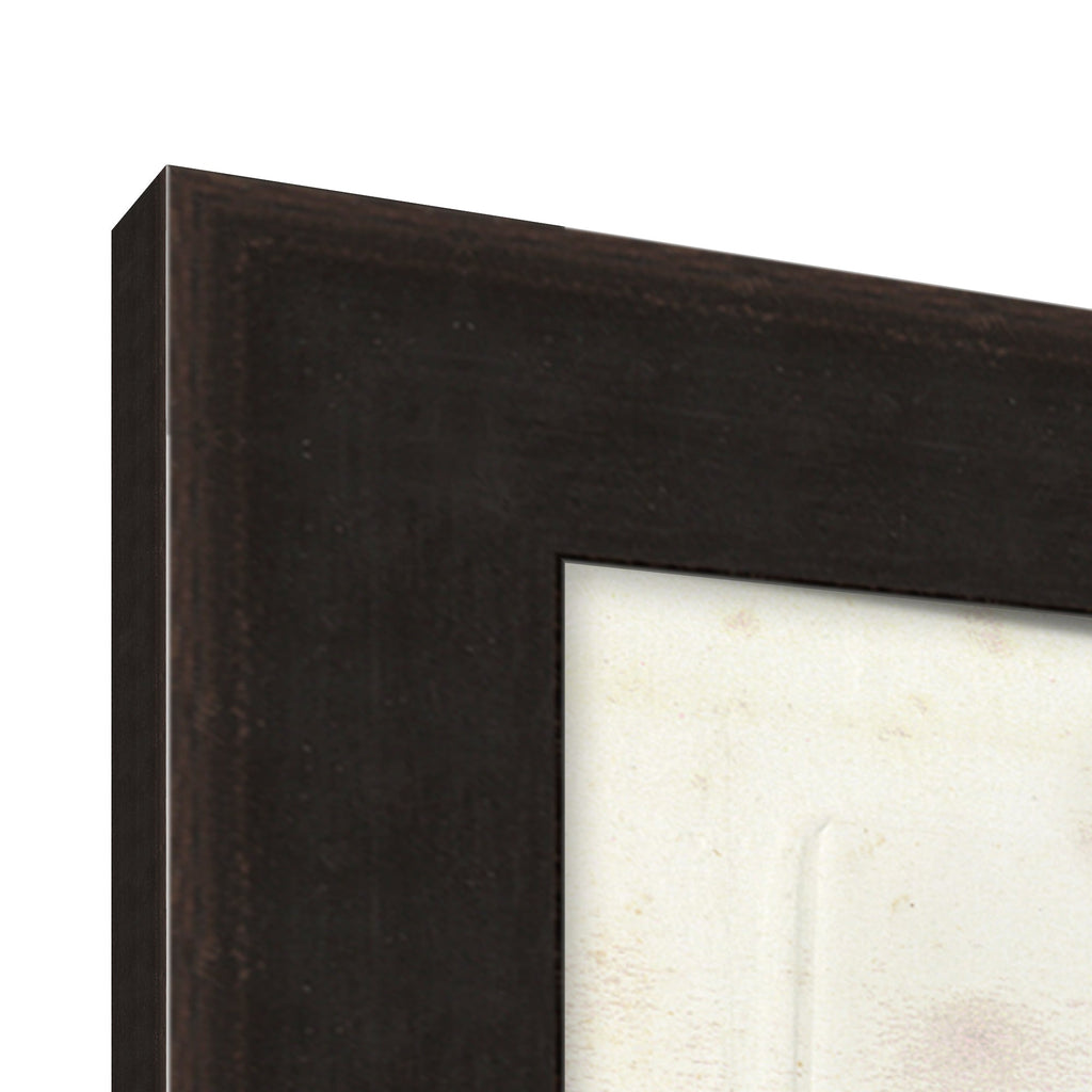 Mavelle Preserved Plants III framed wall art - Close-Up