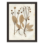 Mavelle Preserved Plants III framed wall art - Detail View