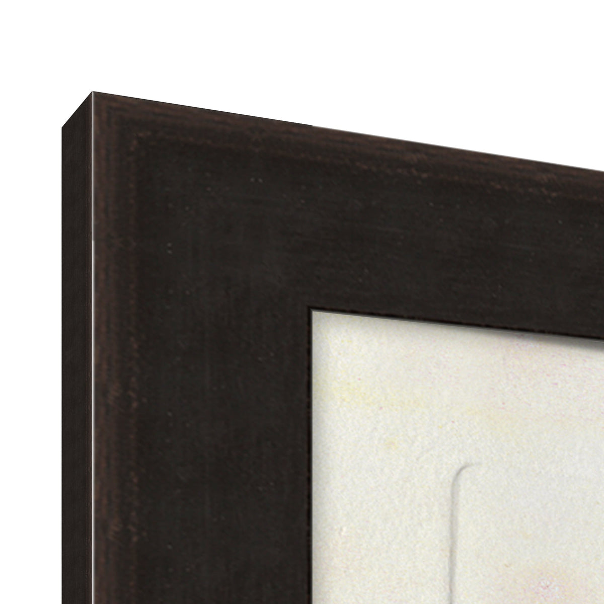Mavelle Preserved Plants IV framed wall art - Close-Up