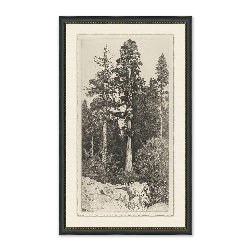 Mavelle Tall Trees I framed wall art - Detail View