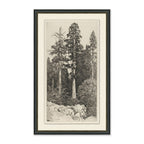 Mavelle Tall Trees I framed wall art - Detail View