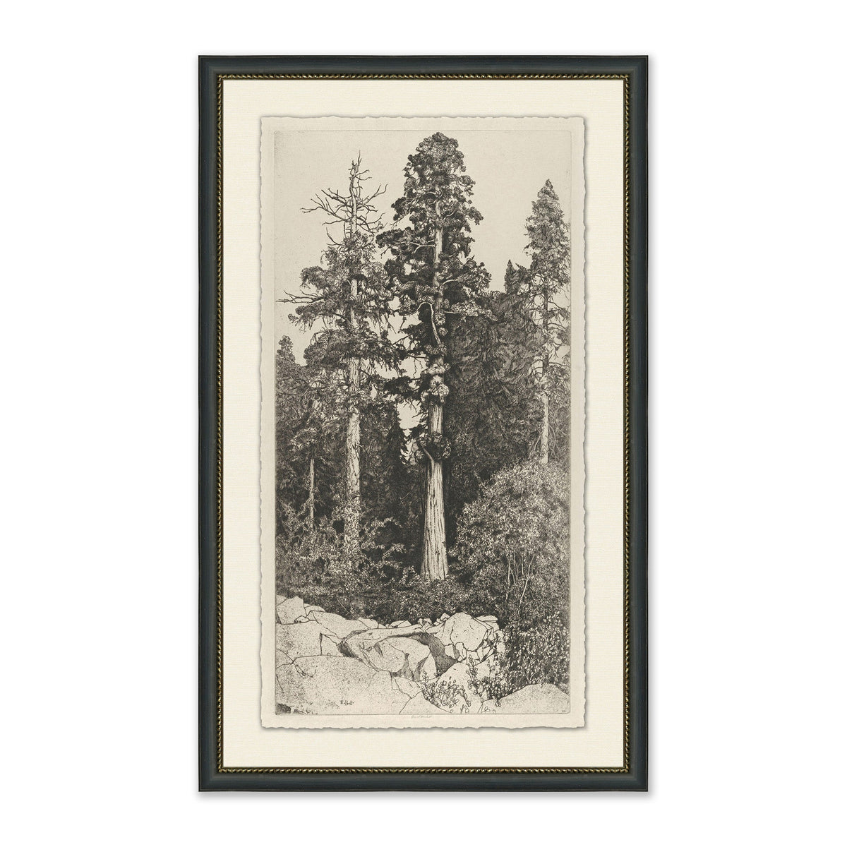 Mavelle Tall Trees I framed wall art - Detail View