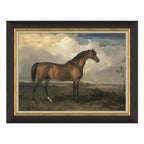 Mavelle Equestrian Study framed wall art - Detail View