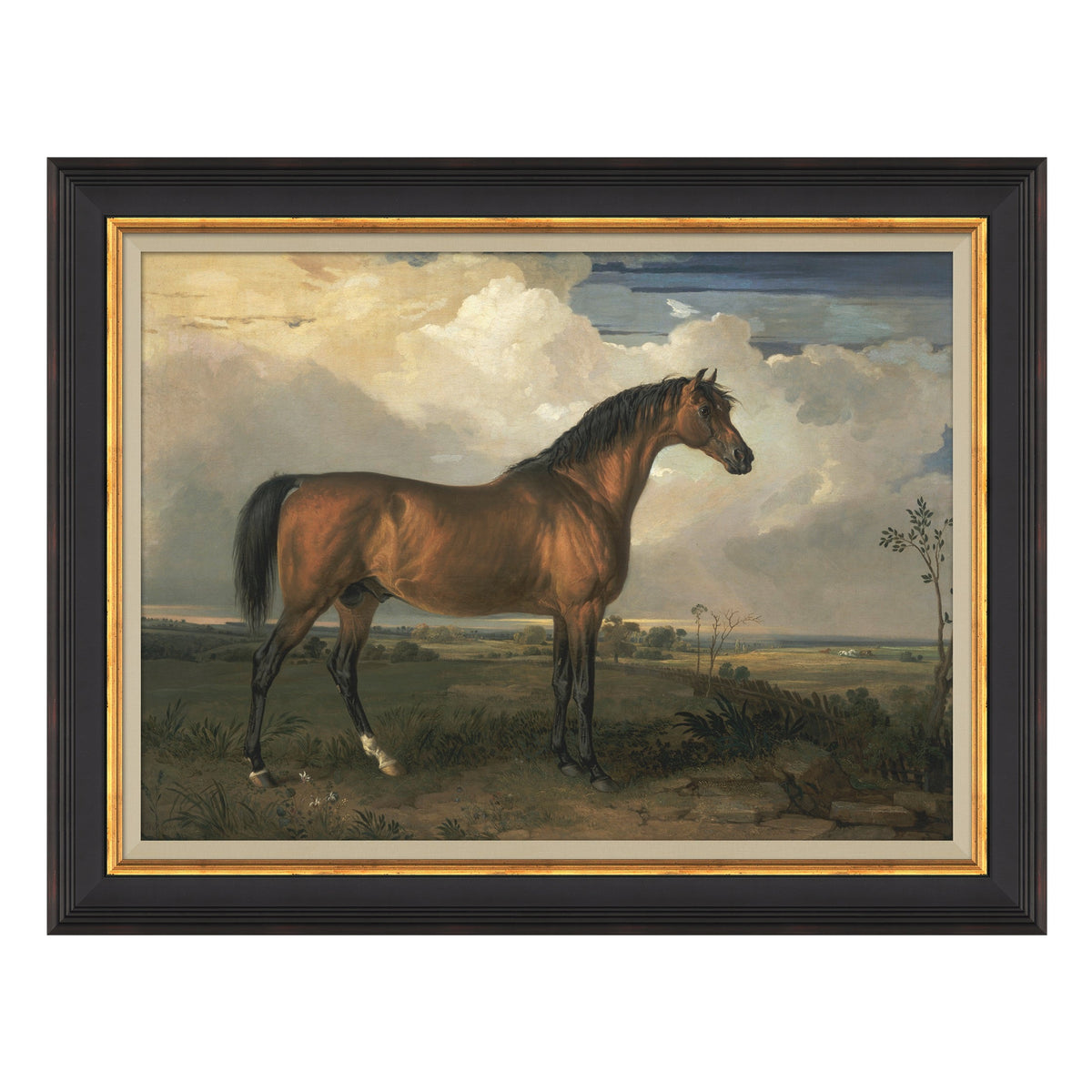 Mavelle Equestrian Study framed wall art - Detail View