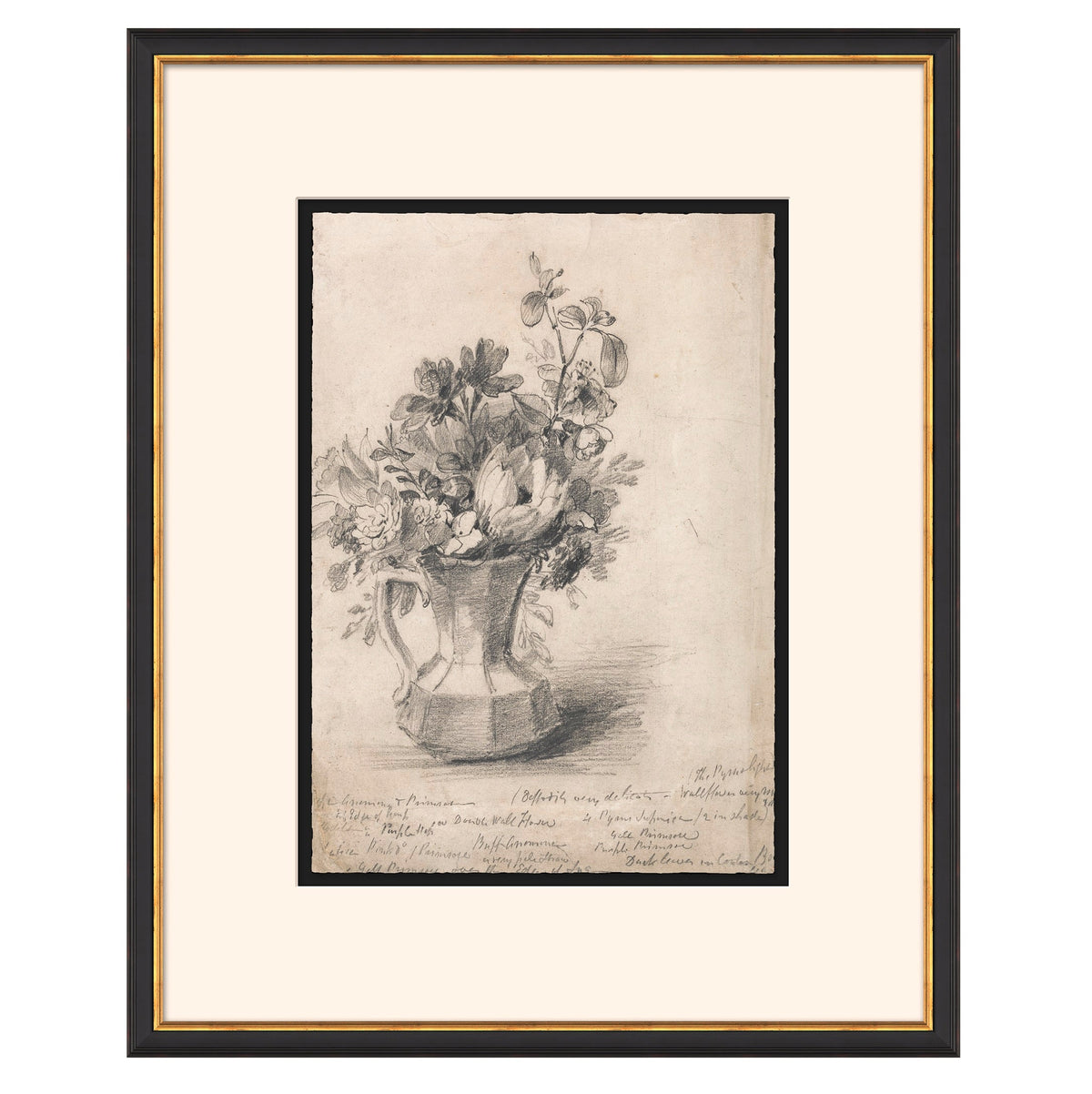 Mavelle Vintage Floral Sketch I framed wall art - Detail View
