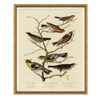Mavelle Finches on Branches framed wall art - Detail View