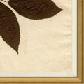 Mavelle Pressed Floral I framed wall art