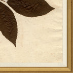 Mavelle Pressed Floral I framed wall art