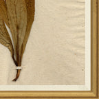 Mavelle Pressed Floral III framed wall art