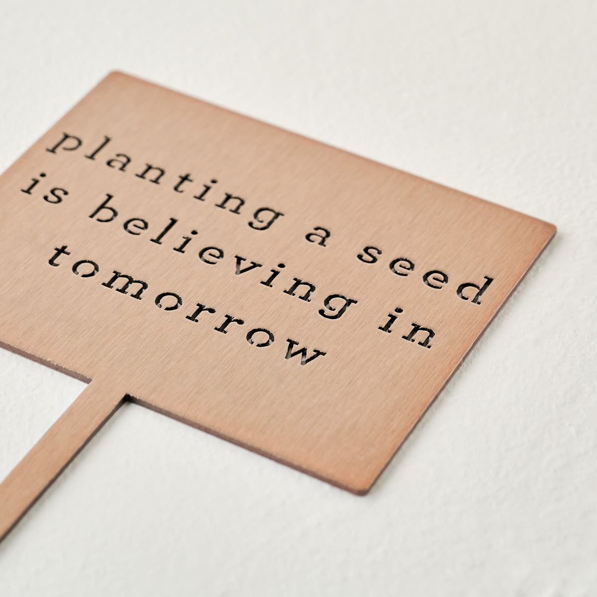 Mavelle Planting A Seed Mini Garden Stake decorative accent - Styled in Room