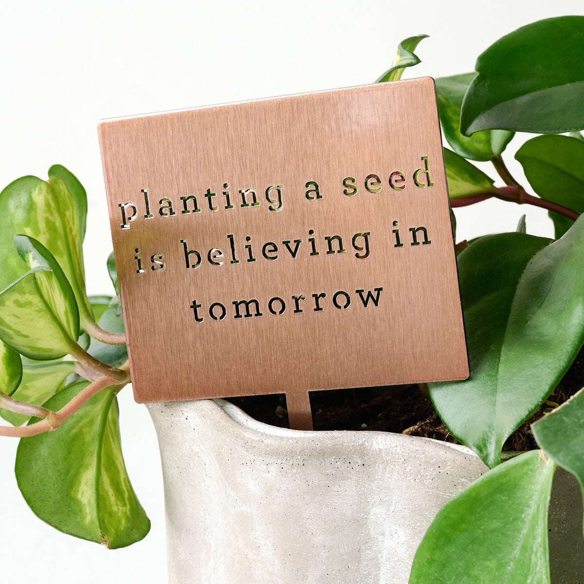 Mavelle Planting A Seed Mini Garden Stake decorative accent - Detail View