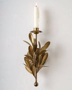 Mavelle Gracie Wall Sconce wall sconce - Detail View