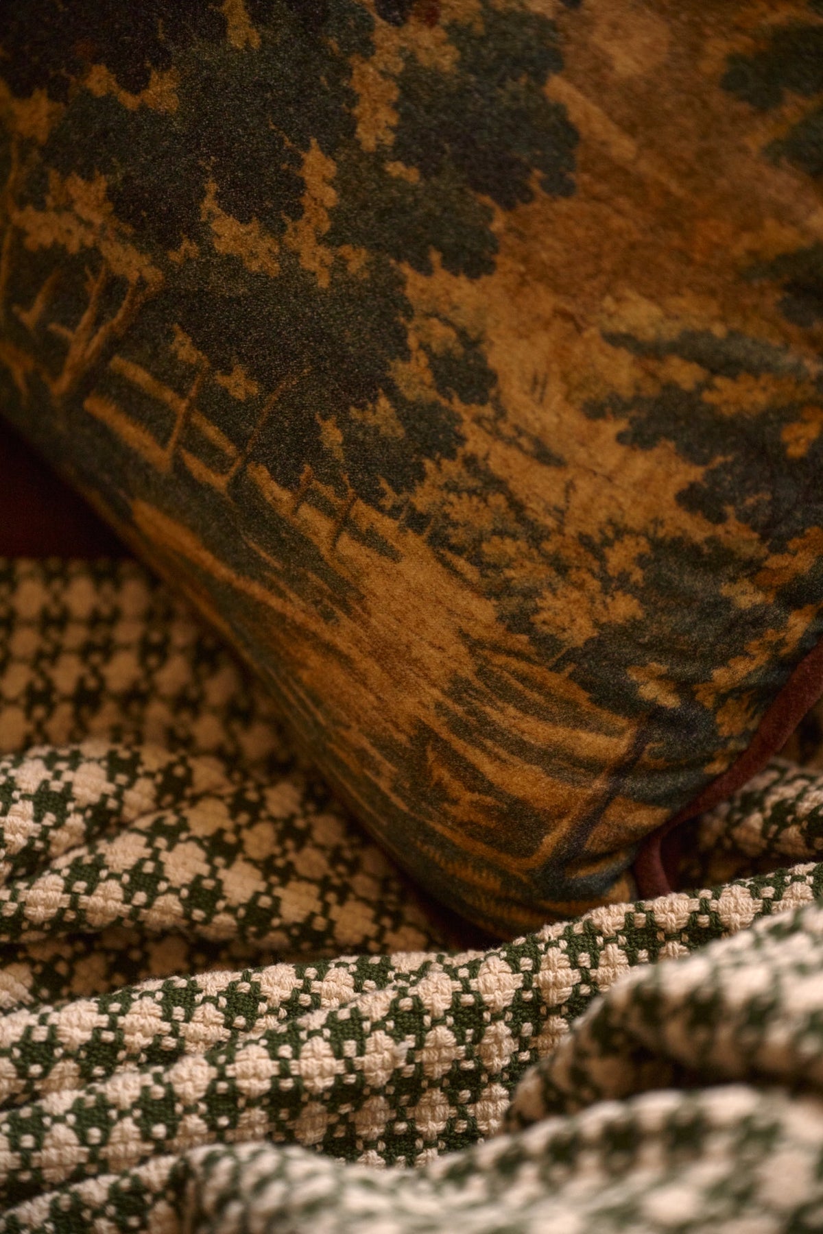 Mavelle Evergrove Printed Velvet Pillow throw pillow - Styled in Room