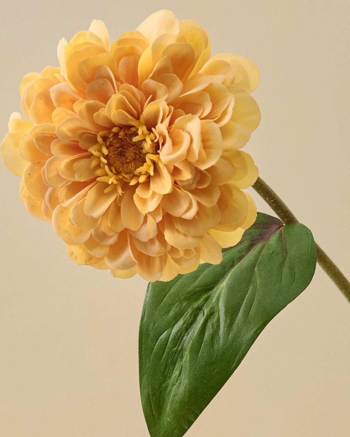 Mavelle Real Touch Zinnia Stem faux floral stem - View 12